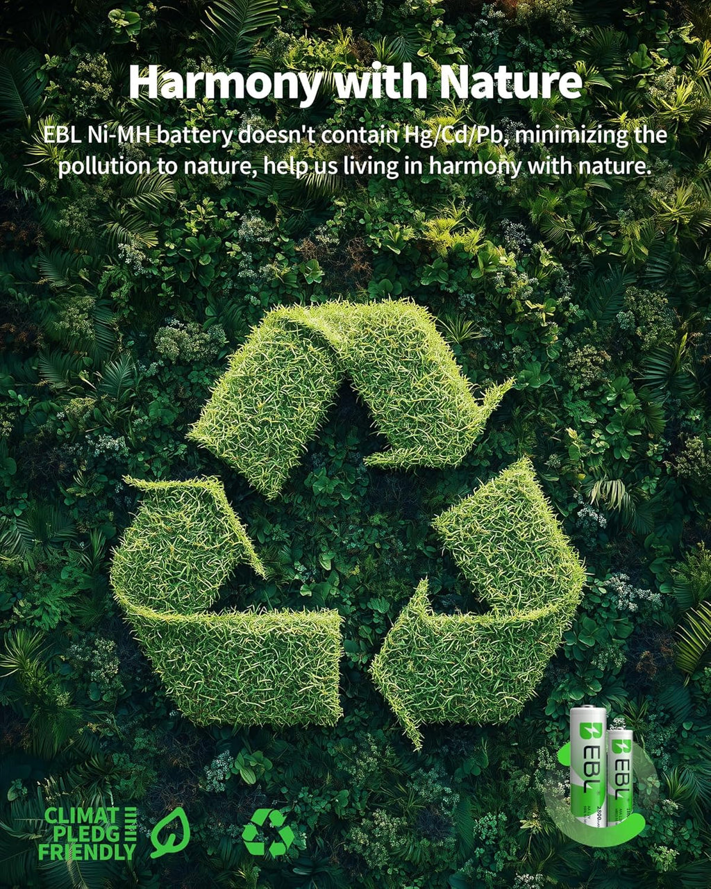 AA Rechargeable Batteries 2800Mah 4 Pack and AAA Rechargeable Batteries 1100Mah 4 Pack, 1.2V Ni-Mh AA AAA Batteries Combo